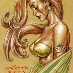 linsner_dafa060
