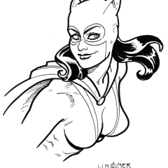 linsner_dc023