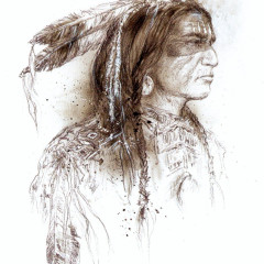 royo_dr22