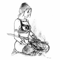royo_ev055s