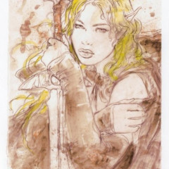 royo_fa013s