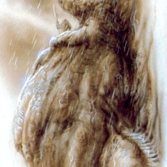 royo_iiim039