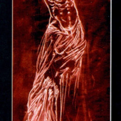 royo_pbi03