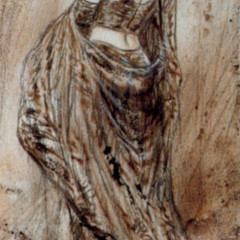royo_pbi08a