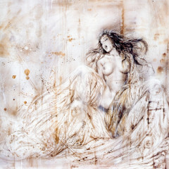 royo_pbi28d