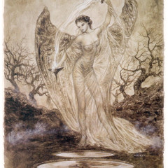 royo_lat106