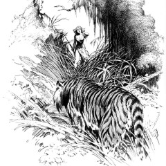 frazetta_272