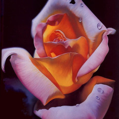 atti_001