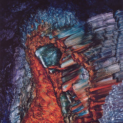 venosa_007