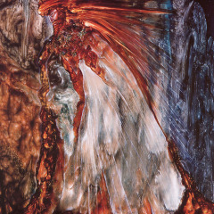 venosa_011