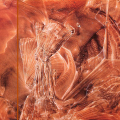 venosa_013