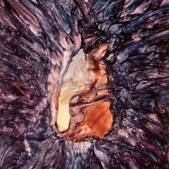 venosa_017