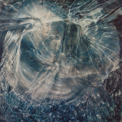 venosa_019