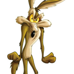 coyote