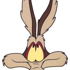 coyote_2