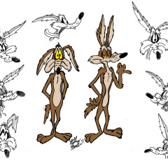 coyote_9