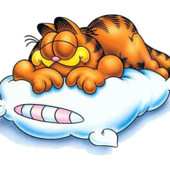garfield_2
