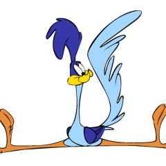 roadrunner