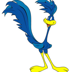 roadrunner_2