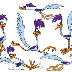 roadrunner_9