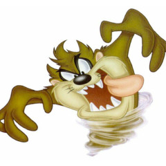 taz