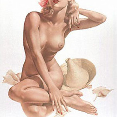 seashells