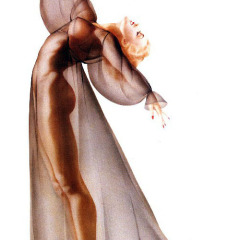sheerelegance