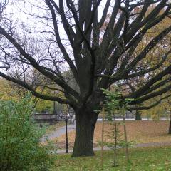Riga - 2005