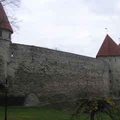 Tallin - 2005