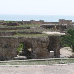 Túnez - 2005
