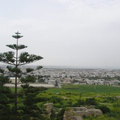 Túnez - 2005